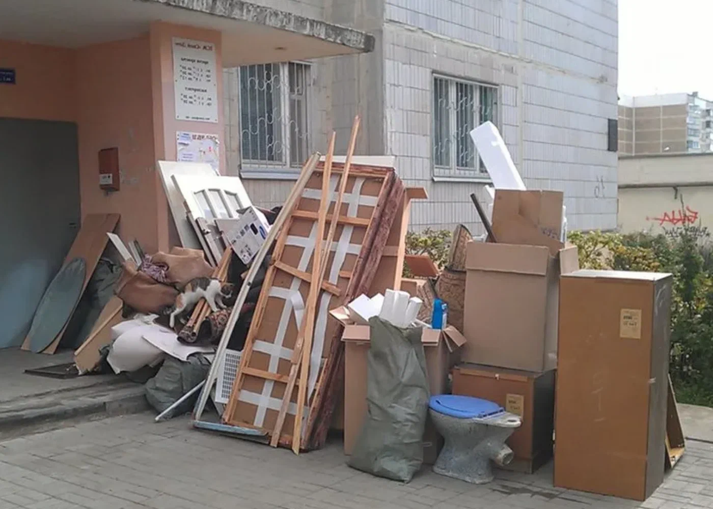 Профессиональный вывоз мусора из квартиры в Старой Руссе в октябре
