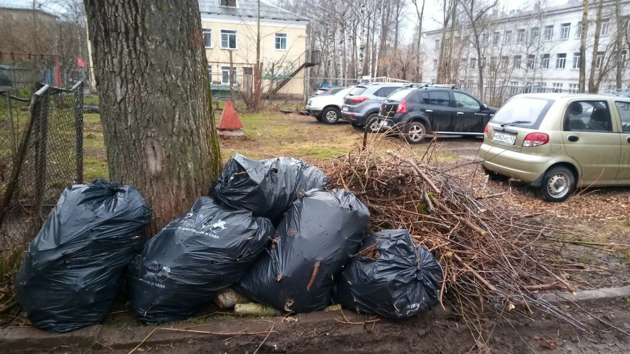 Вывоз мусора после субботника в Старой Руссе от ПроМусор – уборка и утилизация отходов от 2395 руб