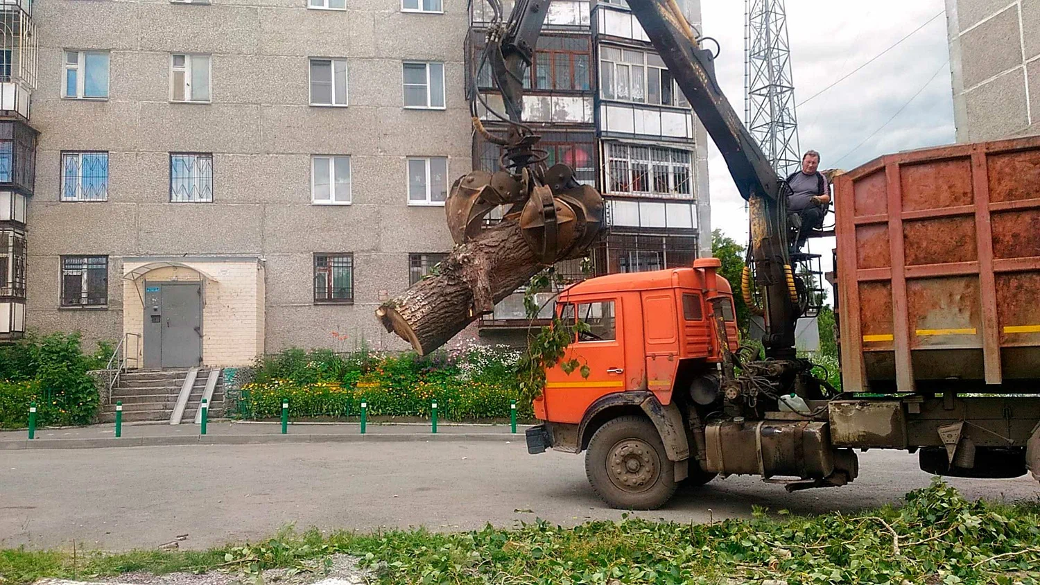 Вывоз спиленных веток и деревьев в Старой Руссе от ПроМусор: порубочные остатки, утилизация, цена от 2955 руб