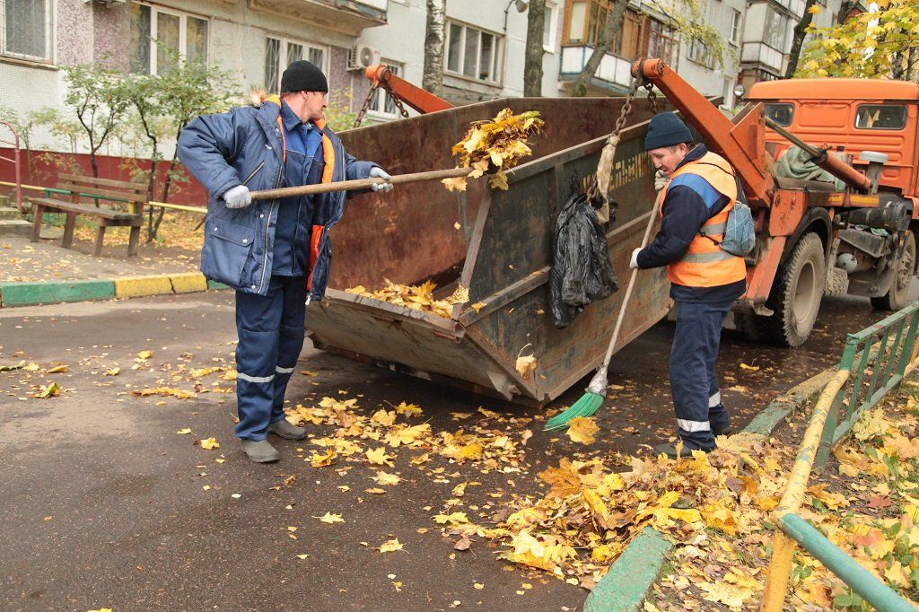 Вывоз опавшей листвы и растительного мусора в Старой Руссе от ПроМусор – цена от 4586 руб., быстрая уборка и утилизация